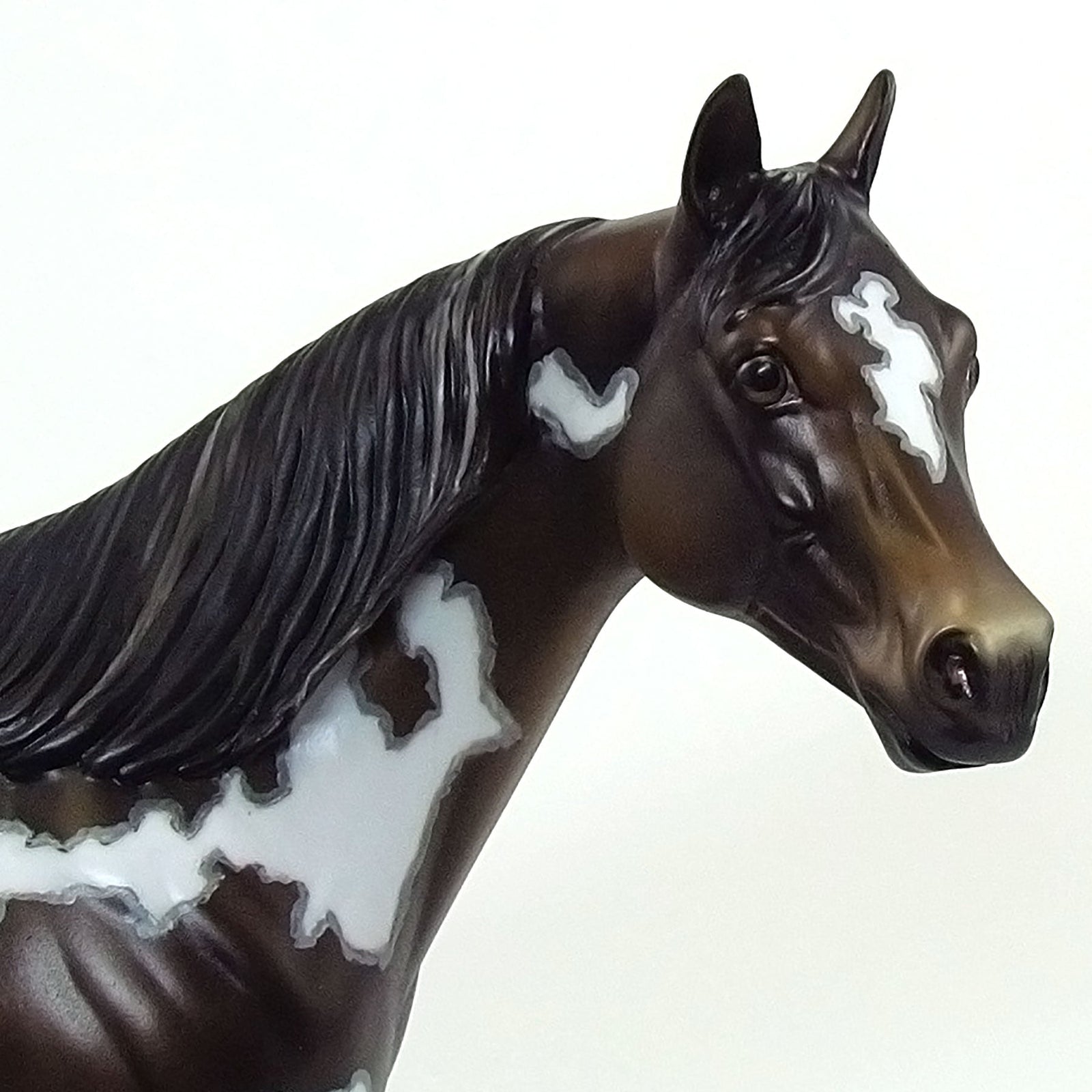 JANESVILLE - OOAK  Dark Bay Overo "Nickering" Paint with Mapping 4/15