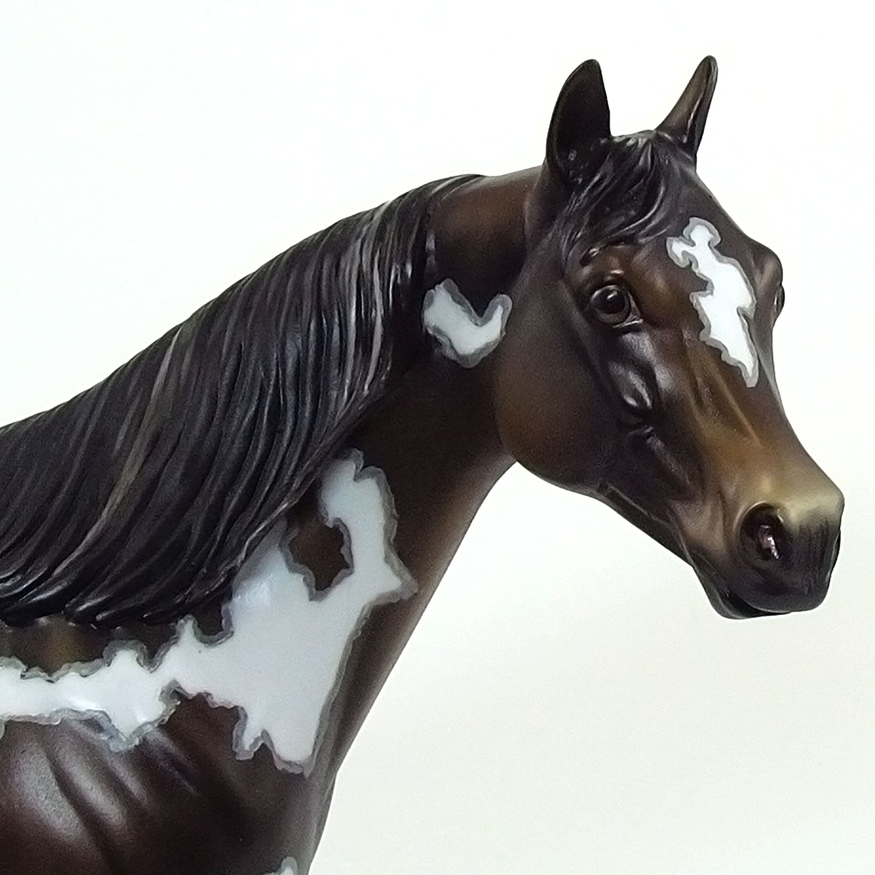 JANESVILLE - OOAK  Dark Bay Overo "Nickering" Paint with Mapping 4/15