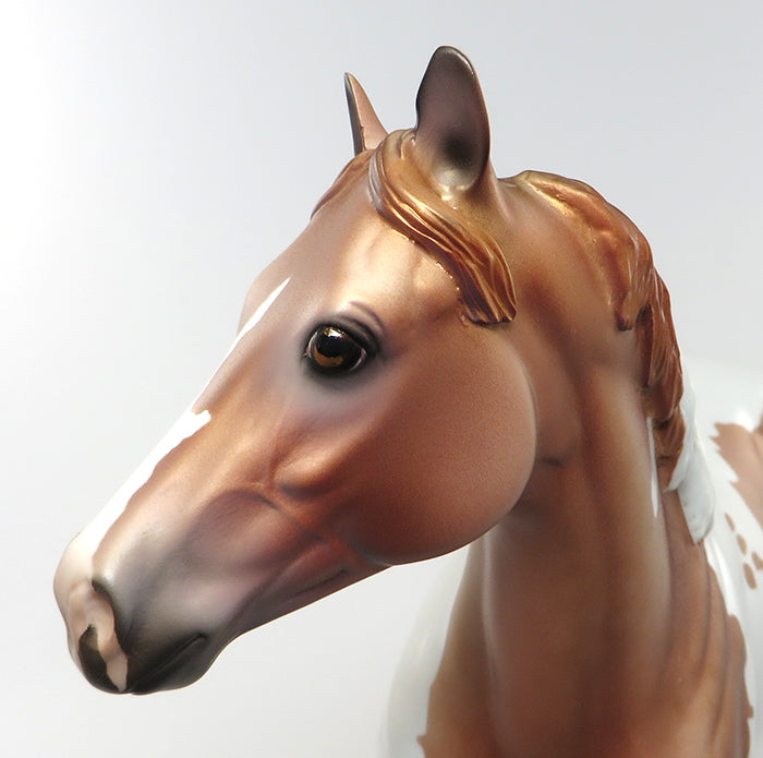 limited edition model horse 