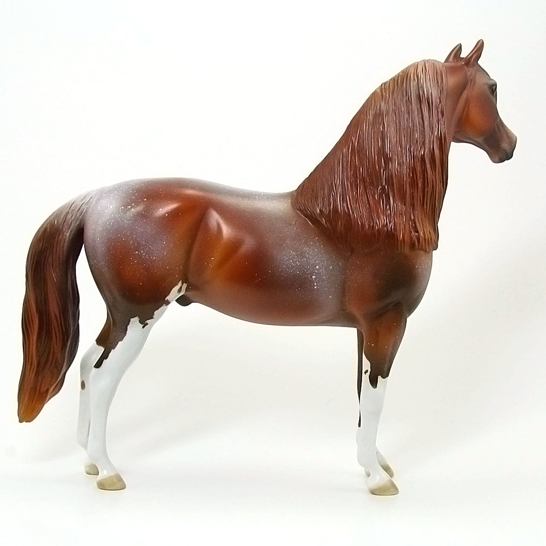AMERICAN RED HOT - OOAK Chestnut Red Roan Morgan 6/15