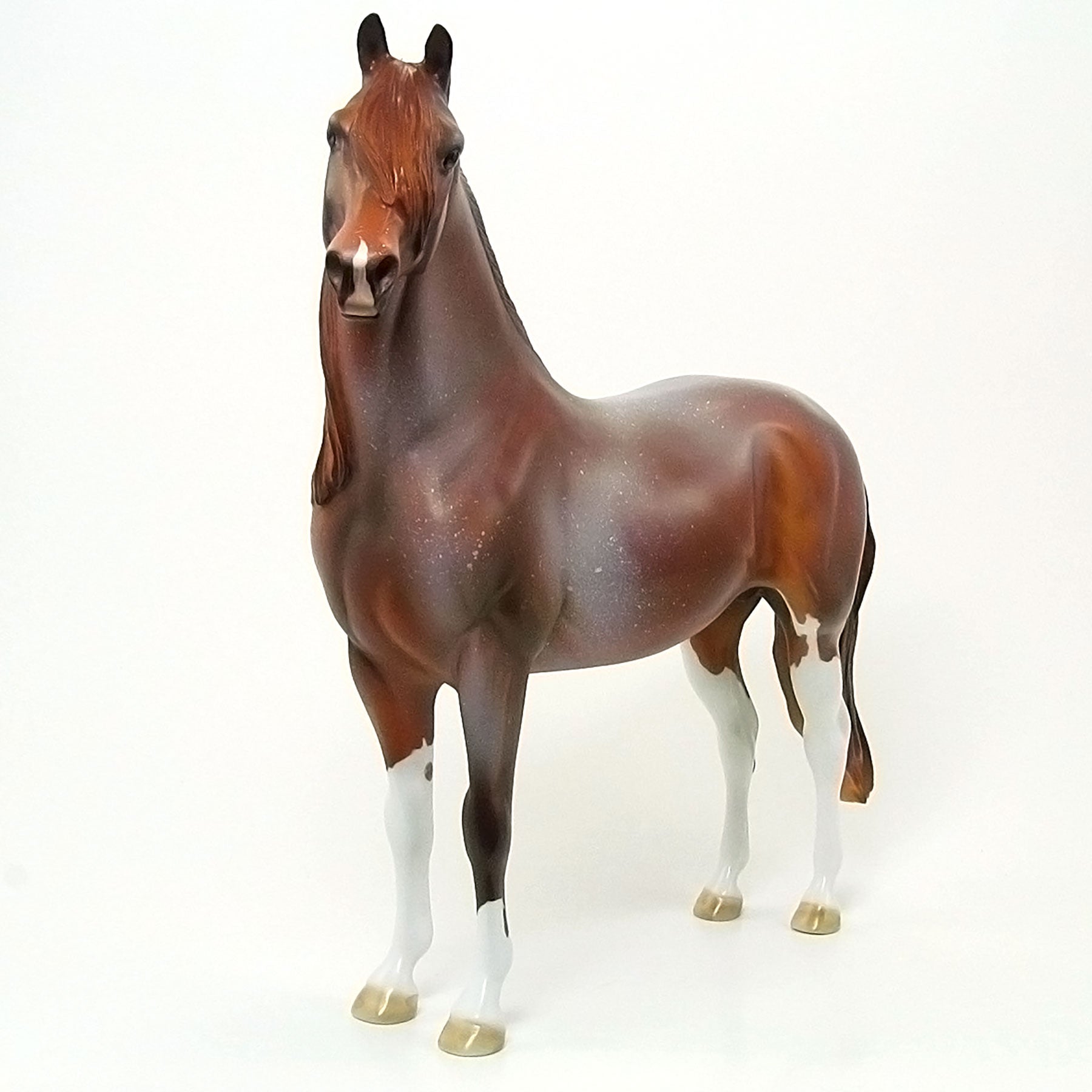 AMERICAN RED HOT - OOAK Chestnut Red Roan Morgan 6/15