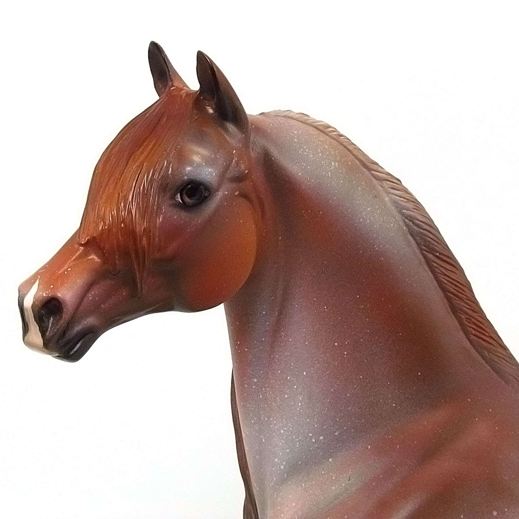 AMERICAN RED HOT - OOAK Chestnut Red Roan Morgan 6/15