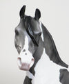 DAPPLE GREY PAINT