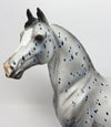 appaloosa