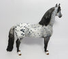 DANTE&#39;-OOAK APPALOOSA MORGAN MODEL HORSE 5/3