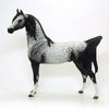 SHIMMERING MIDNIGHT - OOAK Grey Appaloosa Arabian 6/15