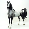 SHIMMERING MIDNIGHT - OOAK Grey Appaloosa Arabian 6/15