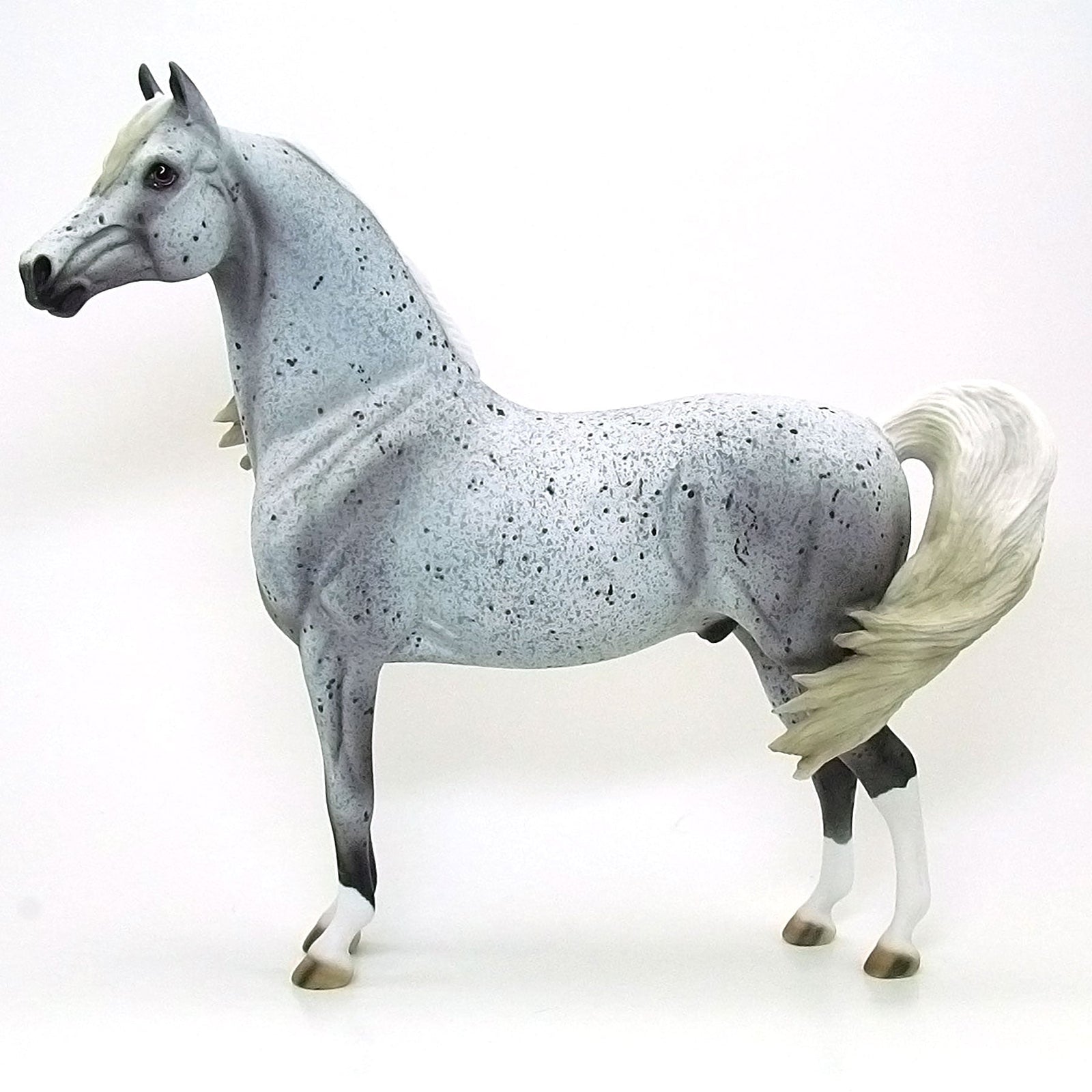 FIELDS OF DUST - OOAK Grey Appaloosa Morgan Model Horse - 6/15