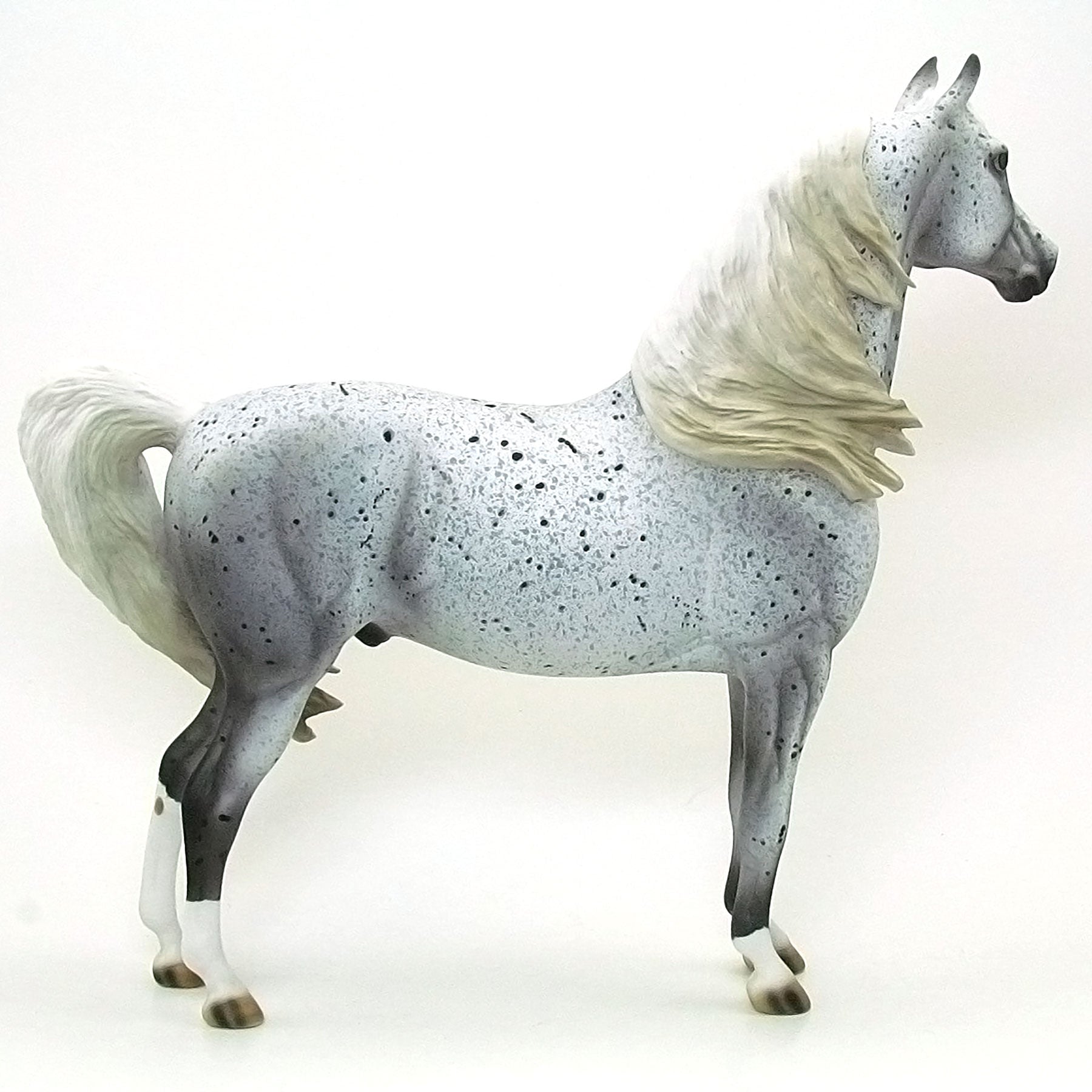 FIELDS OF DUST - OOAK Grey Appaloosa Morgan Model Horse - 6/15