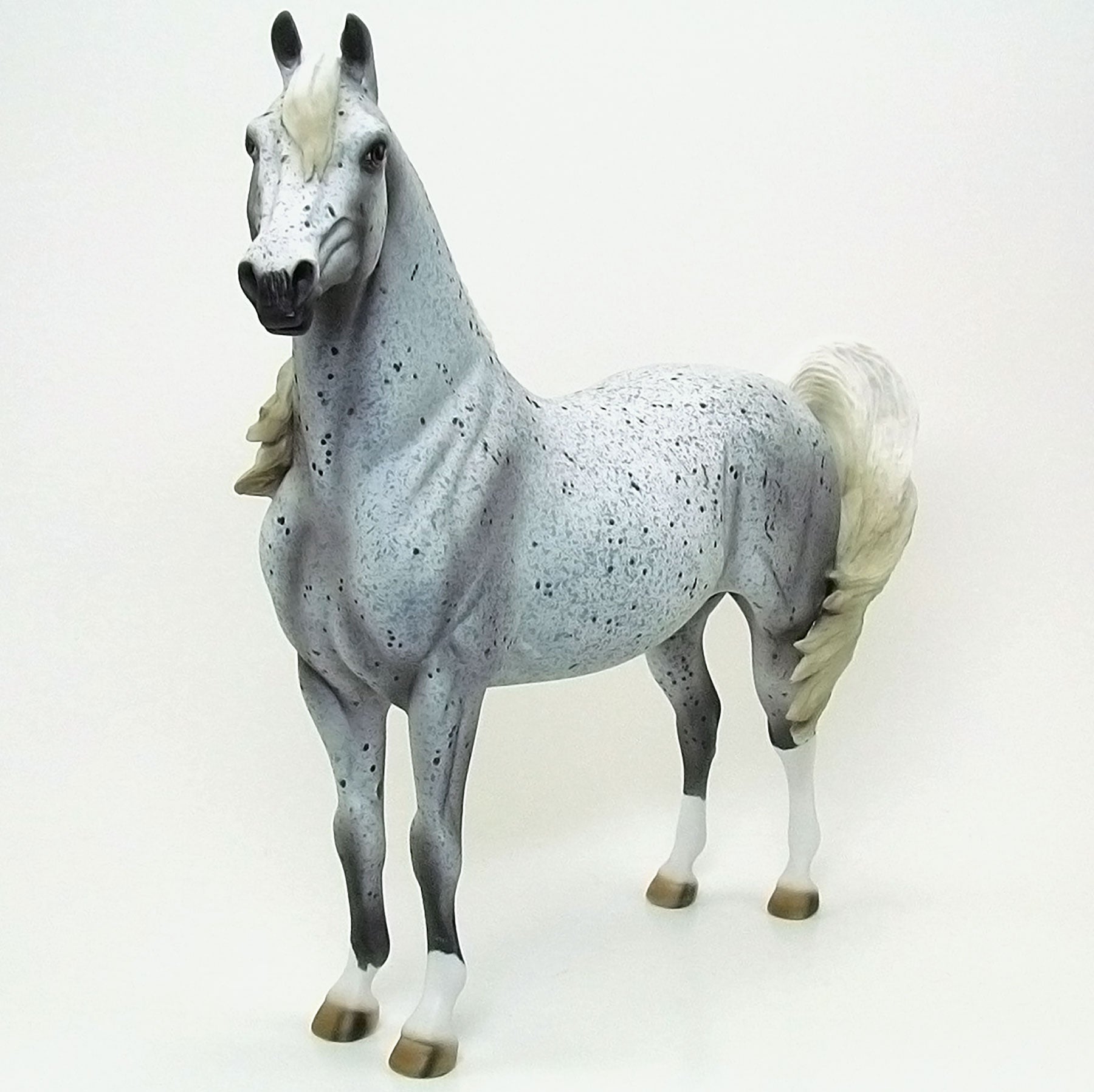 FIELDS OF DUST - OOAK Grey Appaloosa Morgan Model Horse - 6/15