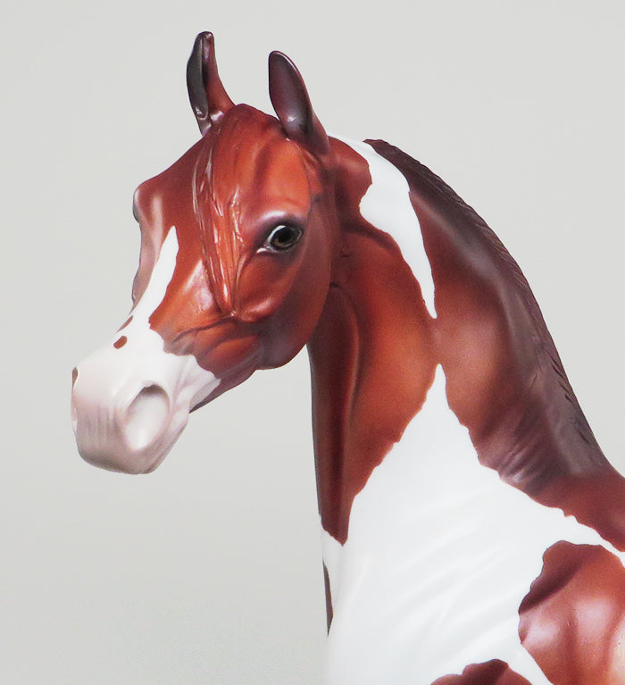 UNFORGETTABLE-LE-5-CHESTNUT PAINT ARABIAN MODEL HORSE 12/30