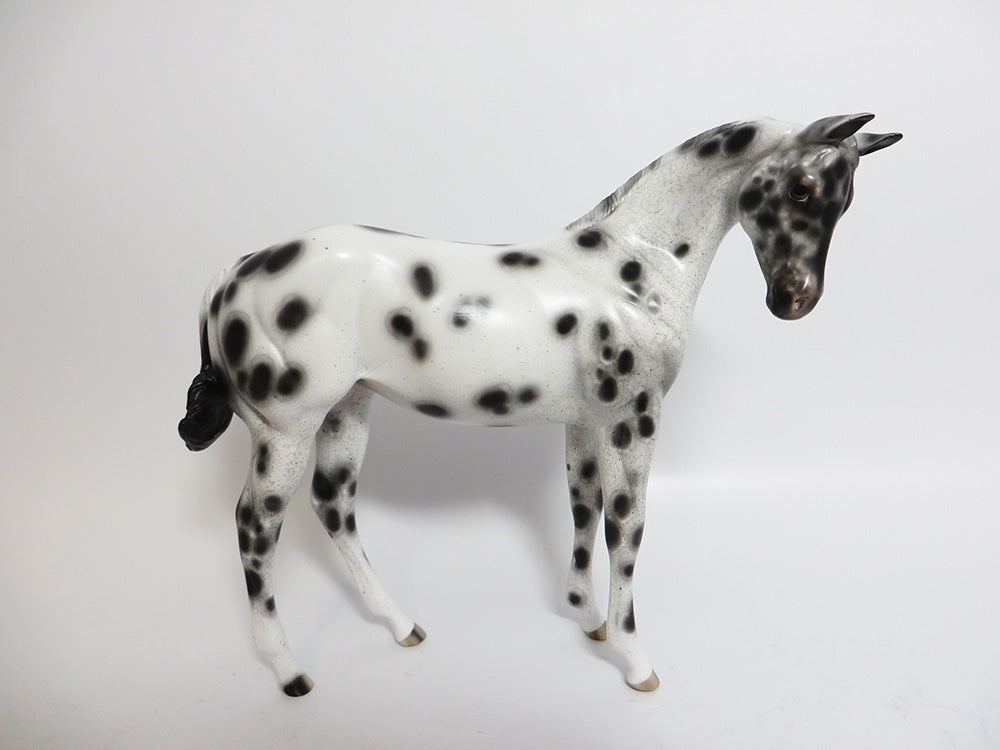 CHARLIE GIRL-OOAK CUSTOM LEOPARD APPALOOSA WEANLING MODEL HORSE PAINTED BY SHERYL LEISURE