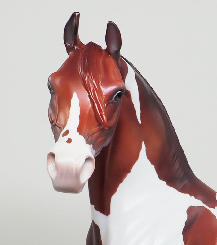 UNFORGETTABLE-LE-5-CHESTNUT PAINT ARABIAN MODEL HORSE 12/30
