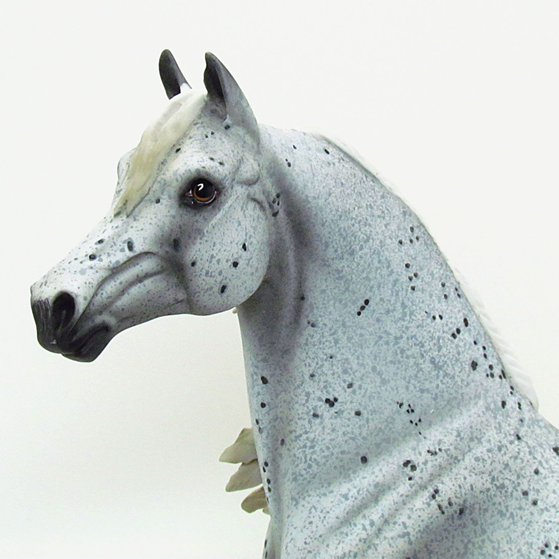 FIELDS OF DUST - OOAK Grey Appaloosa Morgan Model Horse - 6/15
