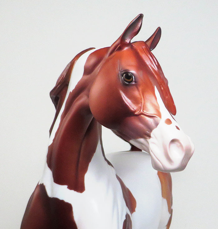 UNFORGETTABLE-LE-5-CHESTNUT PAINT ARABIAN MODEL HORSE 12/30