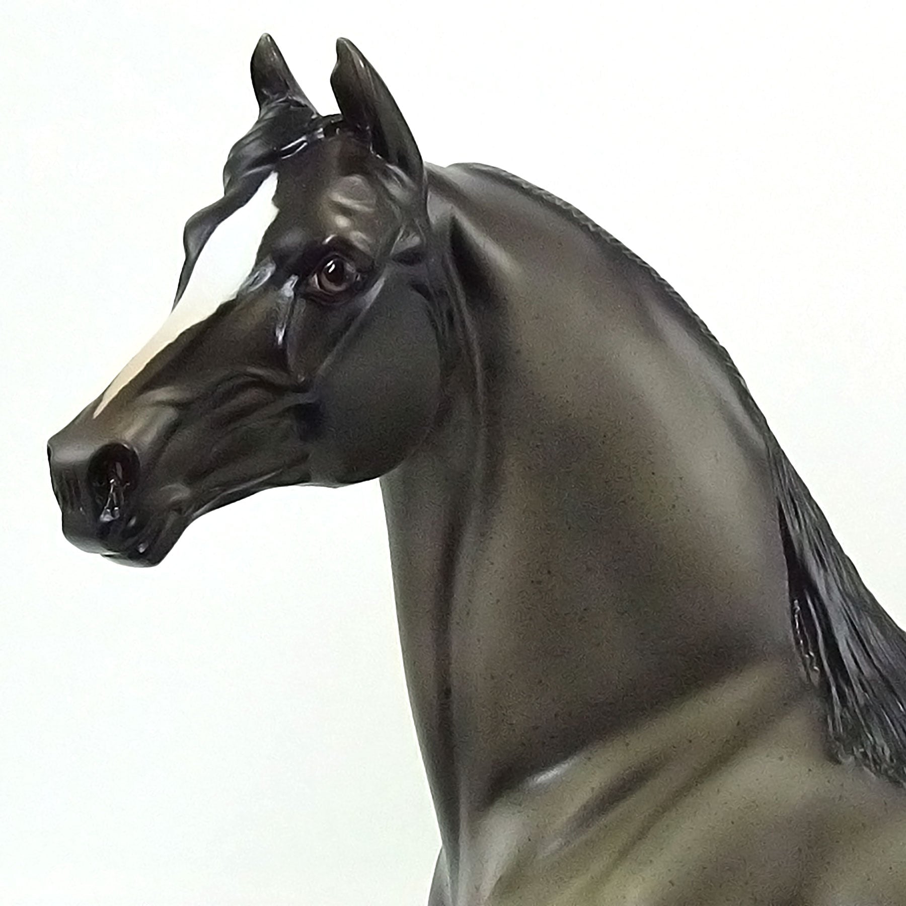 MAN MADE HORSE- OOAK Blue Roan Morgan 6/15