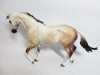 SUGAR COOKIE~-OOAK STAR DAPPLE BAY GOING GREY THOROUGHBRED MODEL HORSE BY SHERYL LEISURE 11/14/17