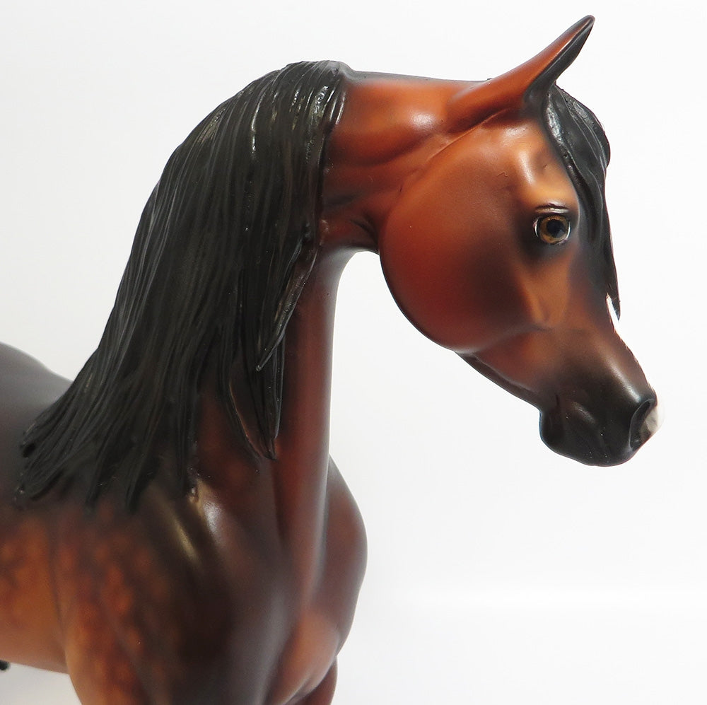 OVER THE MOON~OOAK STAR DAPPLE BAY ARABIAN MODEL HORSE BY SHERYL LEISURE 11/13/17