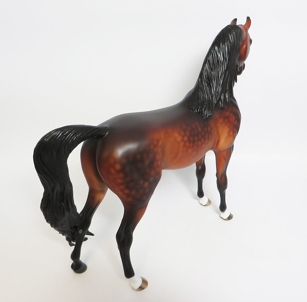 OVER THE MOON~OOAK STAR DAPPLE BAY ARABIAN MODEL HORSE BY SHERYL LEISURE 11/13/17