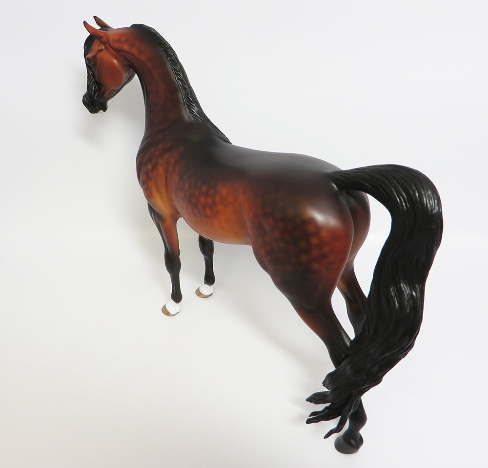 OVER THE MOON~OOAK STAR DAPPLE BAY ARABIAN MODEL HORSE BY SHERYL LEISURE 11/13/17