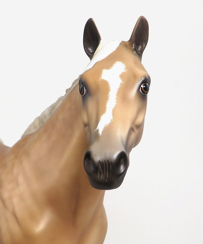 Dapple Palomino Paint