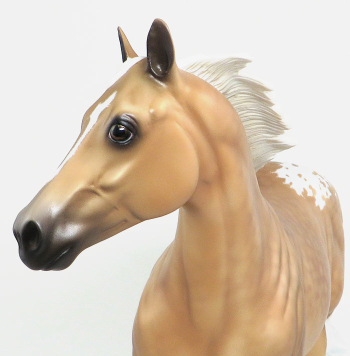 Paint Model Horse
