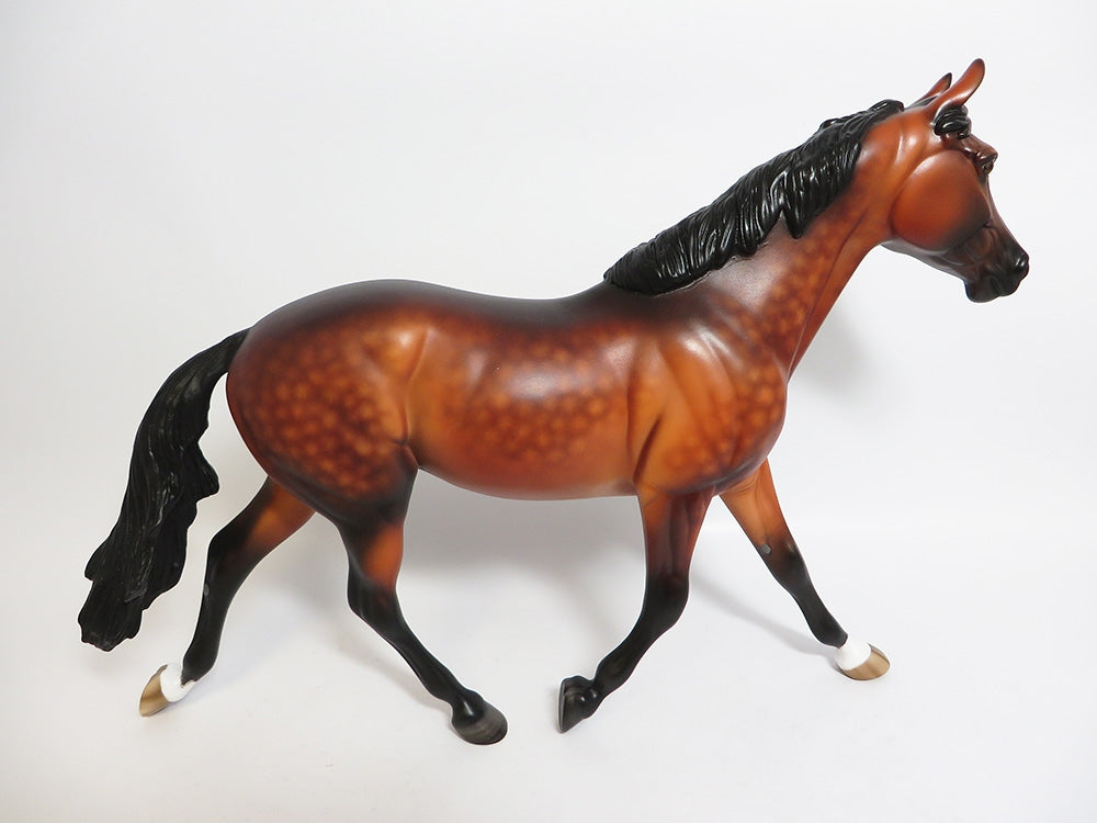 MOON CHASER-OOAK CUSTOM DAPPLE BAY PALOUSE MODEL HORSE PAINTED BY SHERYL LEISURE