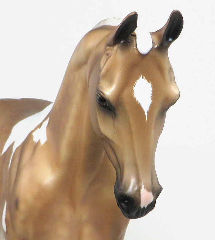 Horse by Sheryl Leisure