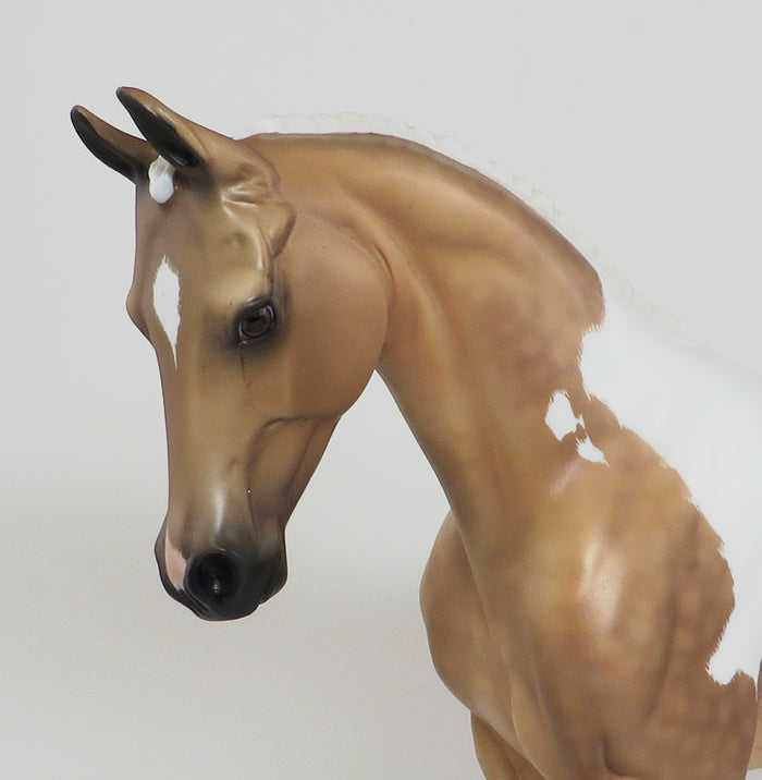 Palomino Paint