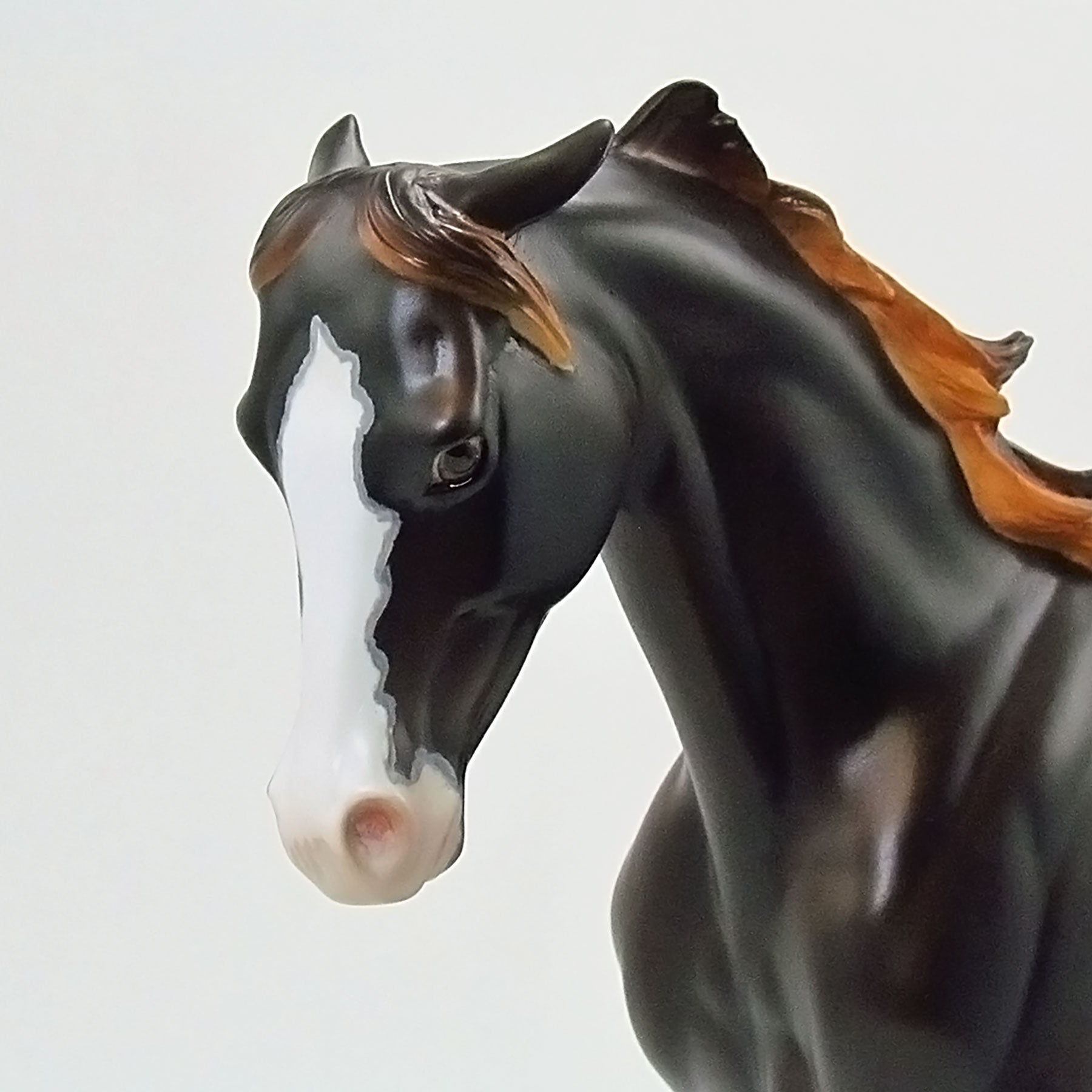 CHRISMA BABY - LE 6 Dark Chestnut W/ Dapples Thoroughbred 6/15