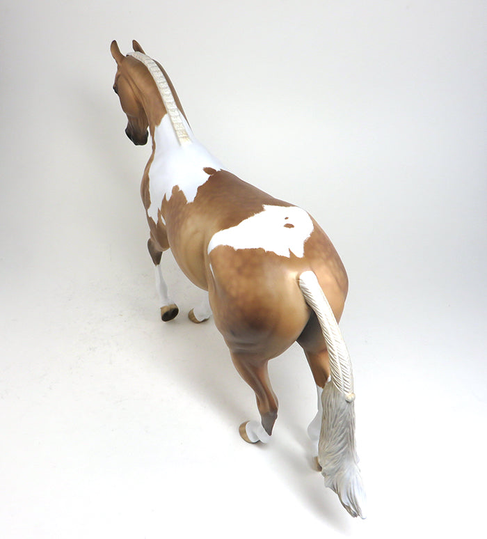 Dapple Palomino Paint