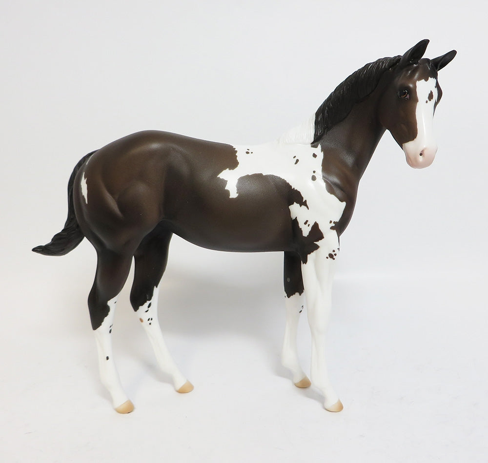 SNOW WHITE-OOAK CUSTOM BAY PINTO WEANLING WHS 2017