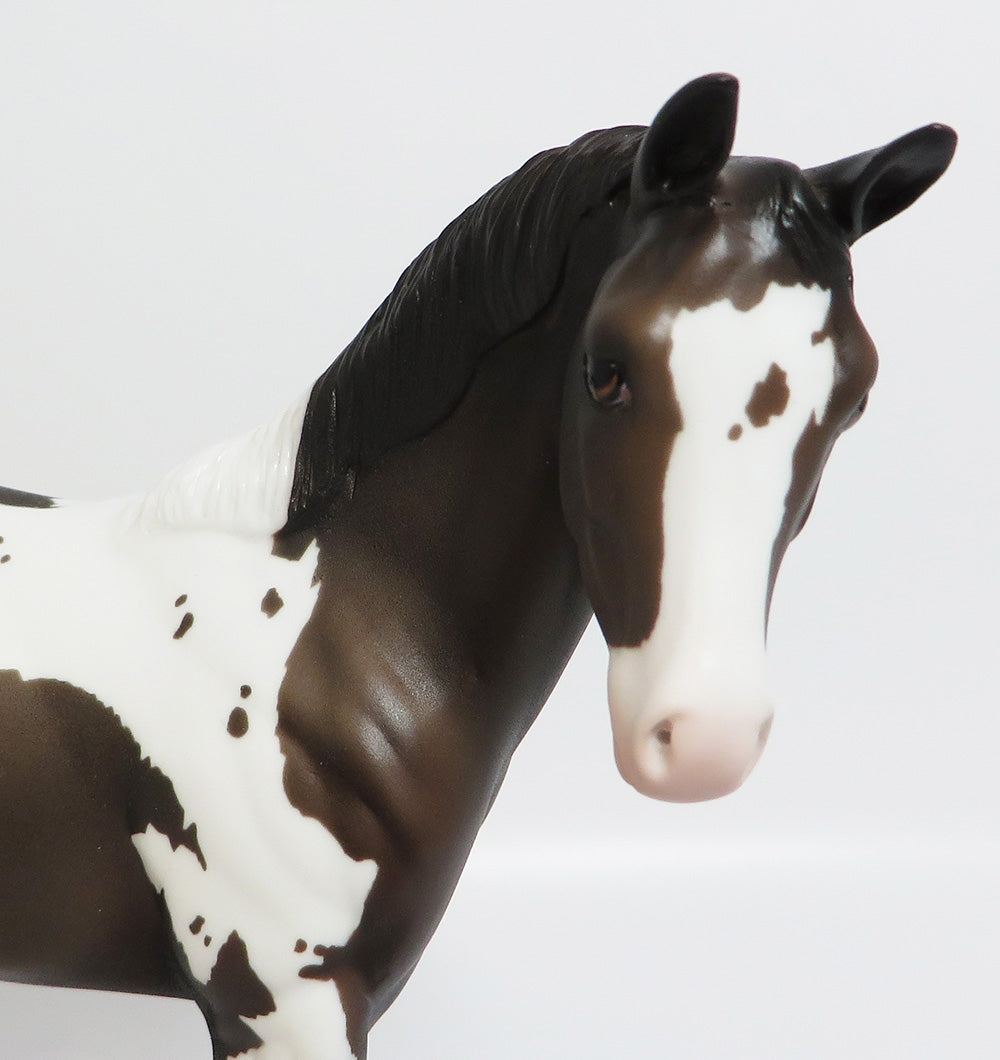 SNOW WHITE-OOAK CUSTOM BAY PINTO WEANLING WHS 2017