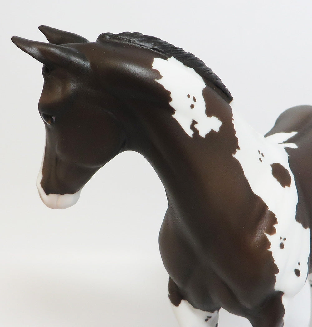 SNOW WHITE-OOAK CUSTOM BAY PINTO WEANLING WHS 2017