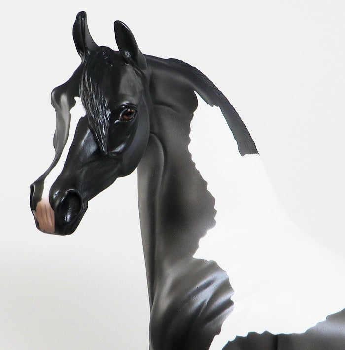 CLOSING TIME-LE-3-DARK GREY PAINT ARABIAN MODEL HORSE 12/30