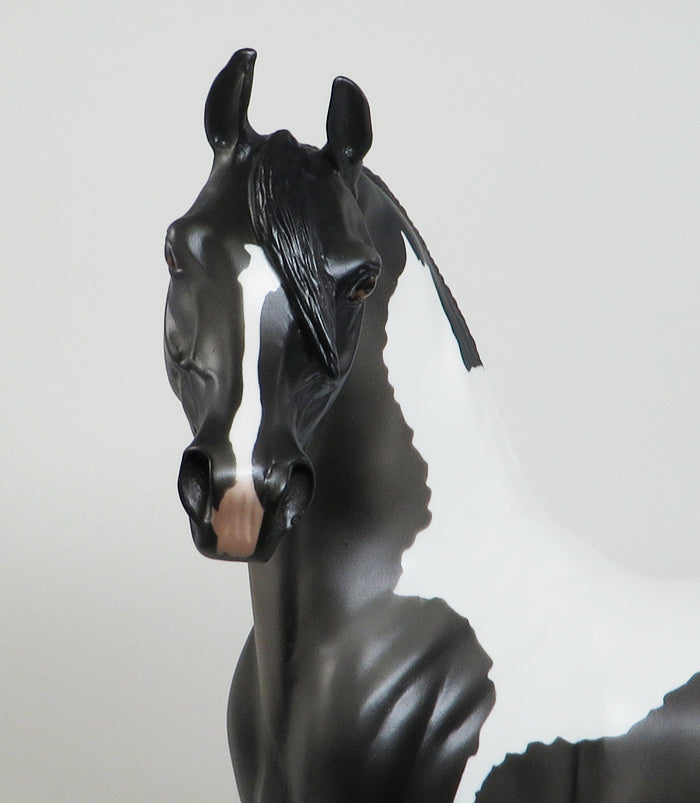 CLOSING TIME-LE-3-DARK GREY PAINT ARABIAN MODEL HORSE 12/30