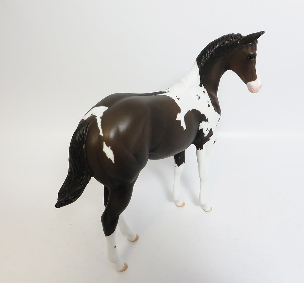 SNOW WHITE-OOAK CUSTOM BAY PINTO WEANLING WHS 2017