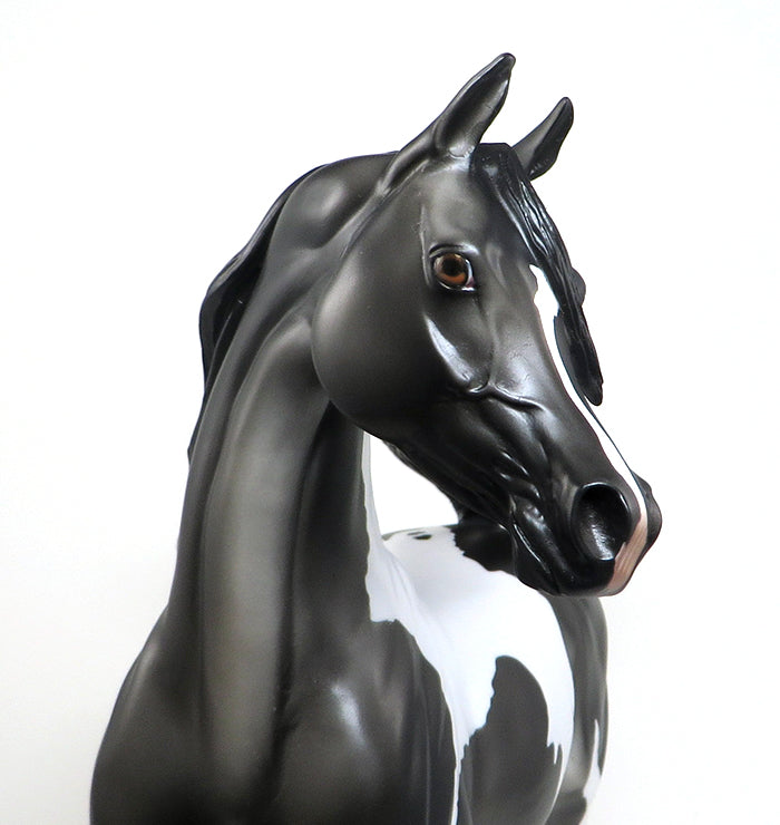 CLOSING TIME-LE-3-DARK GREY PAINT ARABIAN MODEL HORSE 12/30