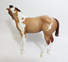 SNOW BELLE-OOAK RED DUN PINTO WEANLING MODEL HORSE 12-19-17