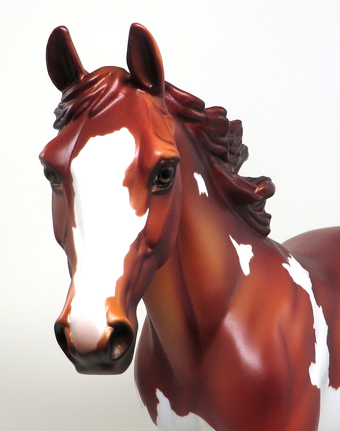 SMOKE N BANDITO-LE-4-CHESTNUT PAINT PALOUSE MODEL HORSE 12/30