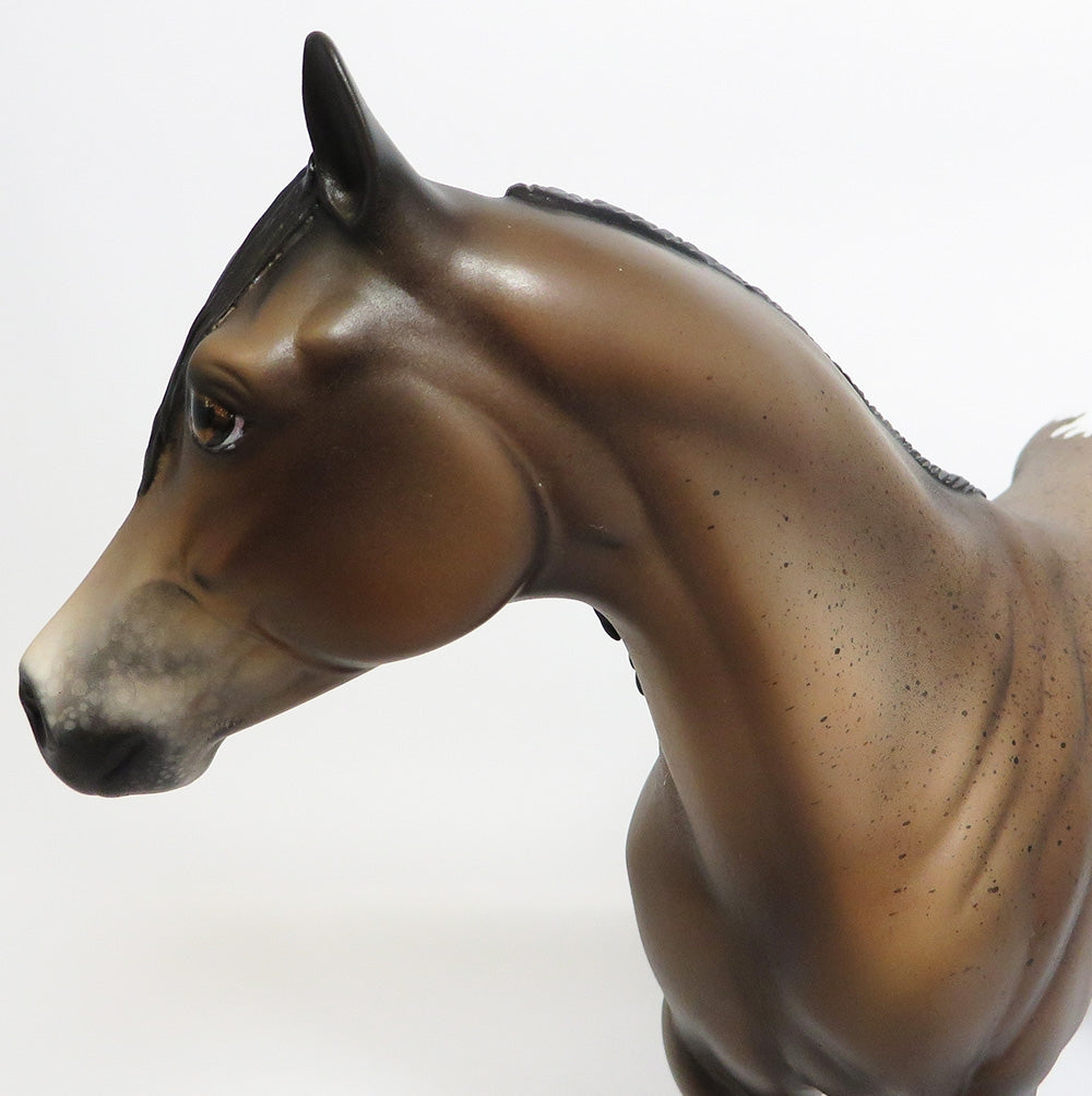 SNOW BLOSSOM-OOAK SOOTY BUCKSKIN APPALOOSA ISH MODEL HORSE WHS 2017