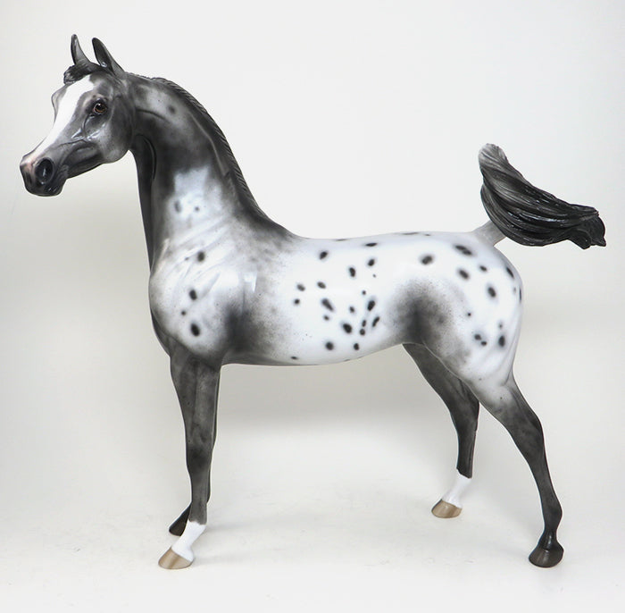 clio belize varnish roan appaloosa model horse