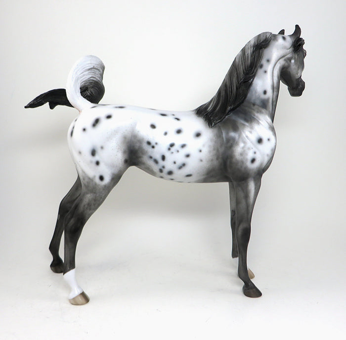 one of a kind model horse varnish roan appaloosa