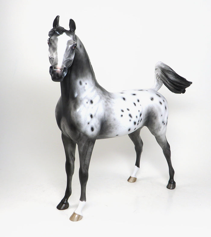 CLIO BELIZE-OOAK-VARNISH ROAN APPALOOSA ARABIAN MODEL HORSE 1/5