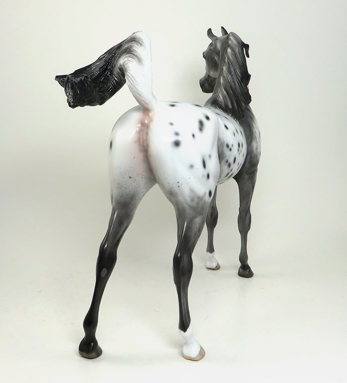 CLIO BELIZE-OOAK-VARNISH ROAN APPALOOSA ARABIAN MODEL HORSE 1/5