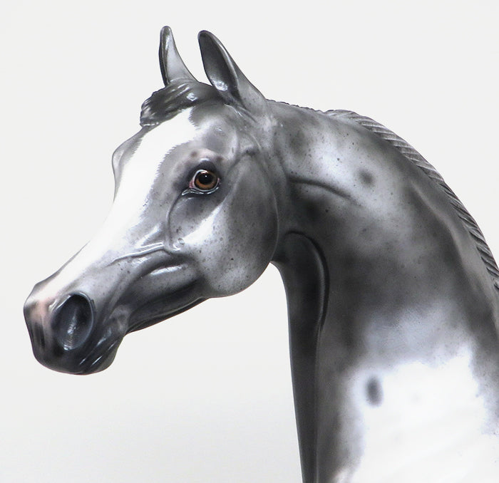 CLIO BELIZE-OOAK-VARNISH ROAN APPALOOSA ARABIAN MODEL HORSE 1/5