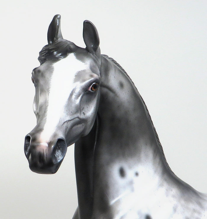 CLIO BELIZE-OOAK-VARNISH ROAN APPALOOSA ARABIAN MODEL HORSE 1/5