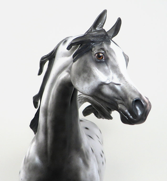CLIO BELIZE-OOAK-VARNISH ROAN APPALOOSA ARABIAN MODEL HORSE 1/5