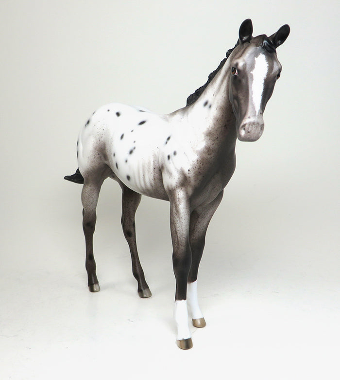RING IN THE NEW YEAR-OOAK-VARNISH ROAN APPALOOSA WEANLING MODEL HORSE BY SHERYL LEISURE 12/30