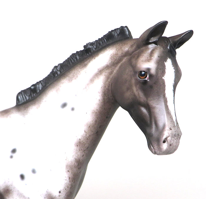 RING IN THE NEW YEAR-OOAK-VARNISH ROAN APPALOOSA WEANLING MODEL HORSE BY SHERYL LEISURE 12/30